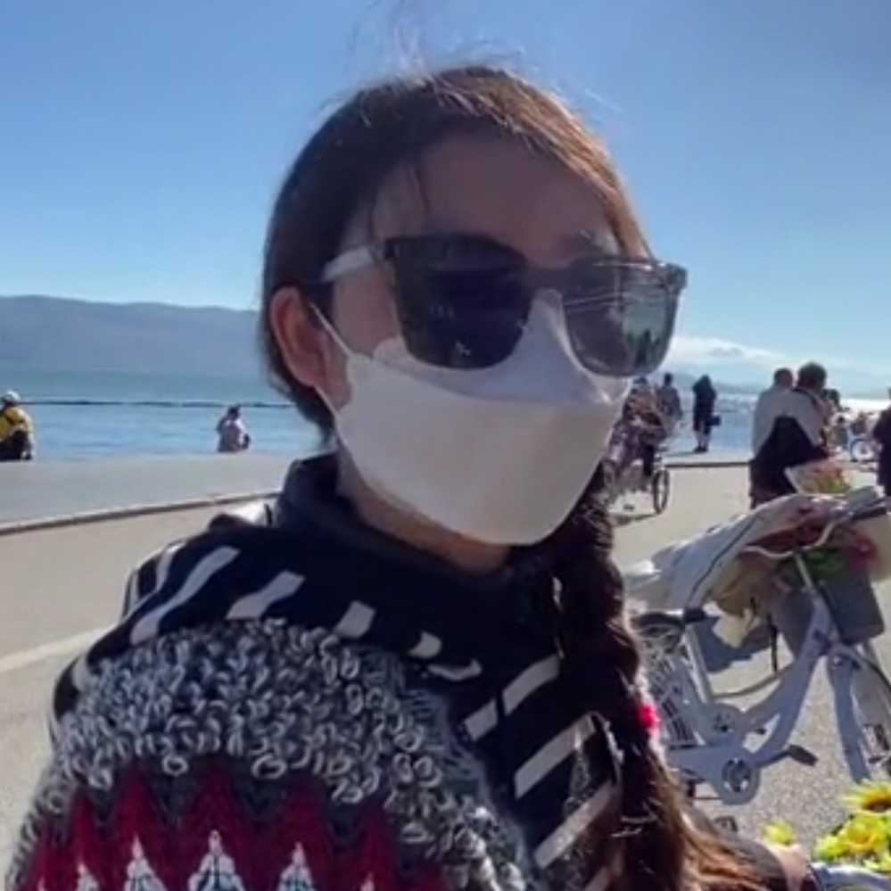 掌上春城