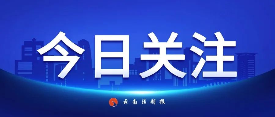 云南法制报