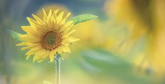 昆明市西山区图书馆