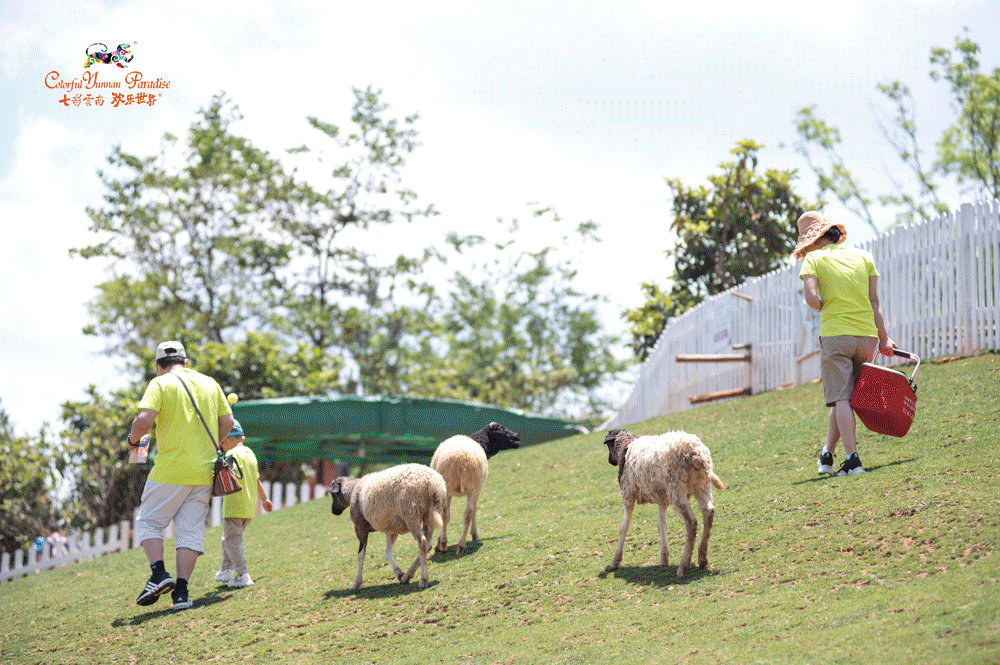 晋宁诗意的栖居地