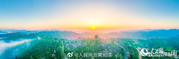 “云南发布”微博