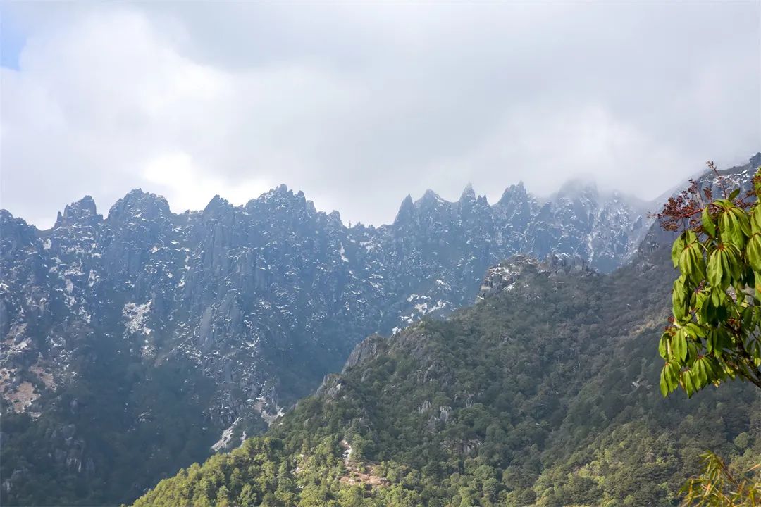 保山新闻网