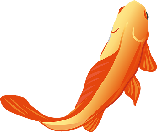 保山广播电视台