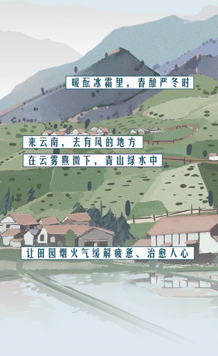 云南省人民政府网