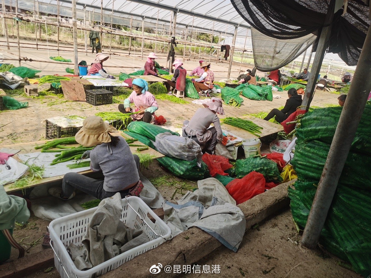 昆明信息港（微博）