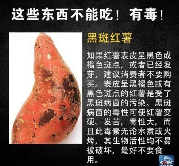 美丽云南微科普