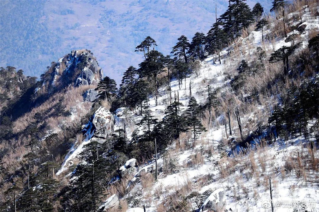 “云南发布”微博