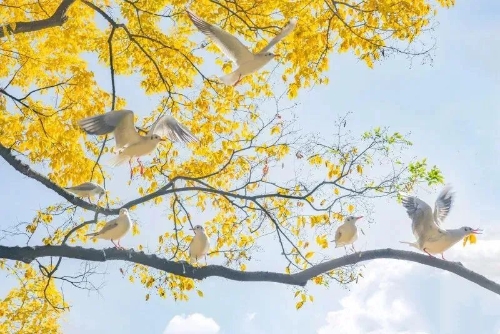 昆明市文化和旅游局