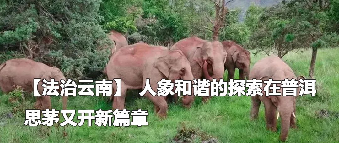 云南政法