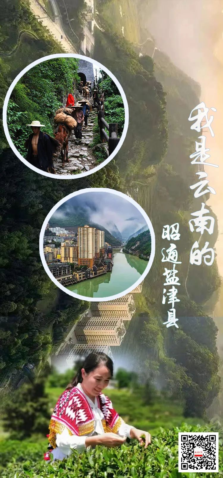 昭通日报