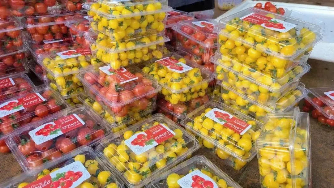 昆明阳宗海风景名胜区