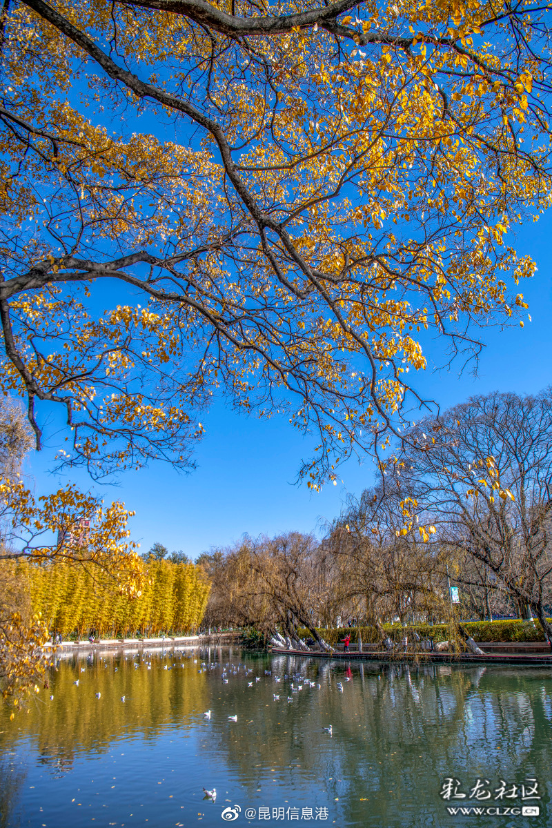 昆明信息港（微博）