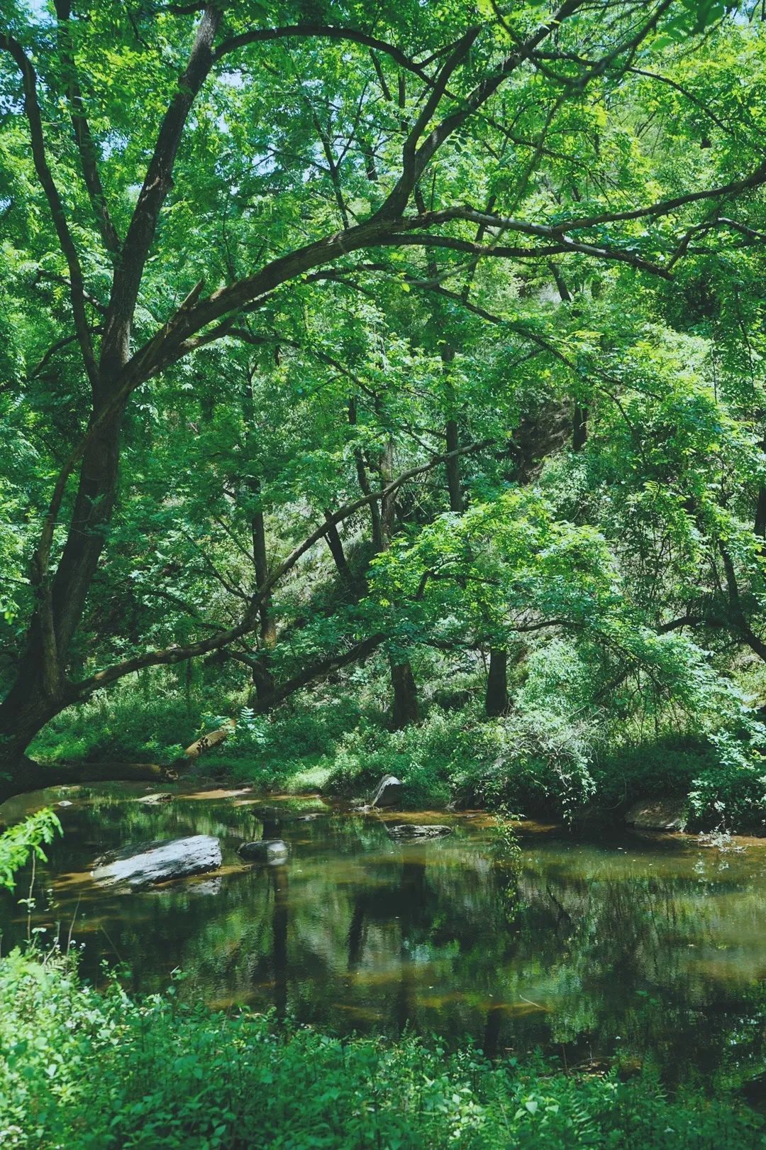 一部手机游云南