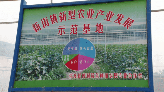 大理电视台