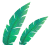 美丽云南微科普