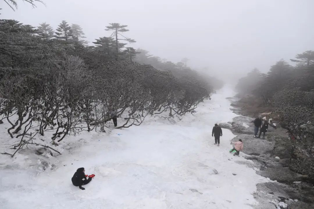 昆明轿子山旅游