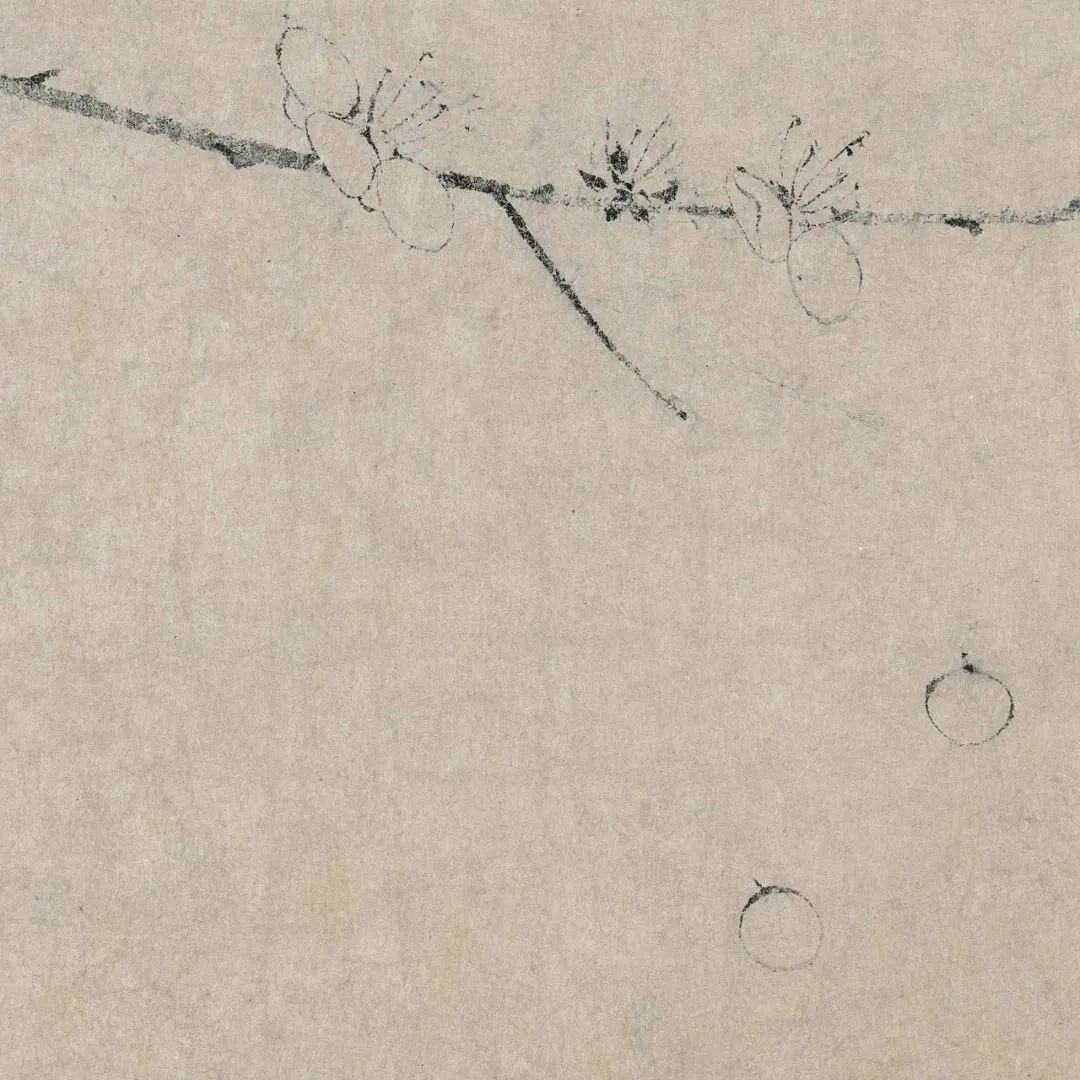 昆明公共文化云