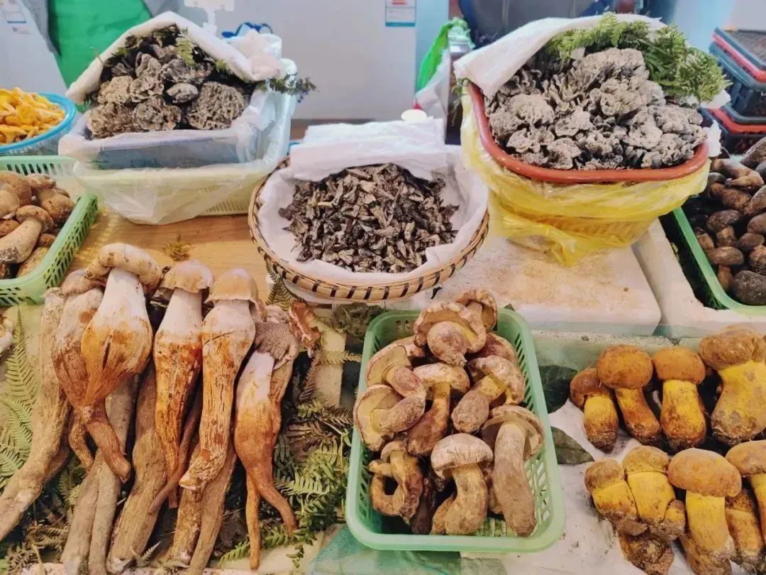 昆明文旅