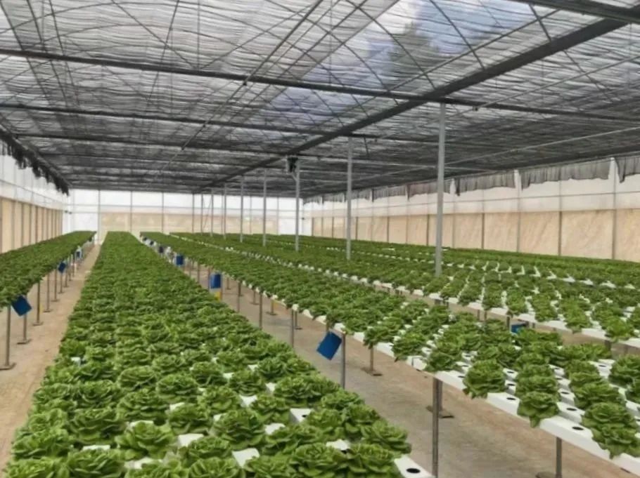 昆明阳宗海风景名胜区