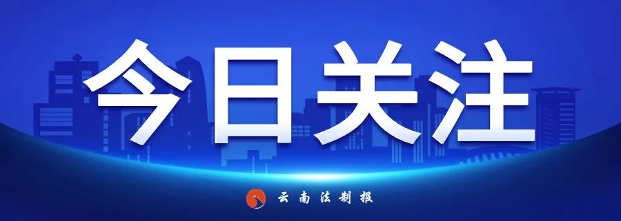 云南法制报