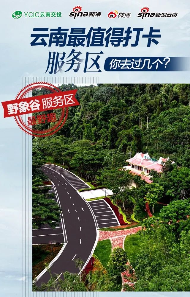 掌上春城