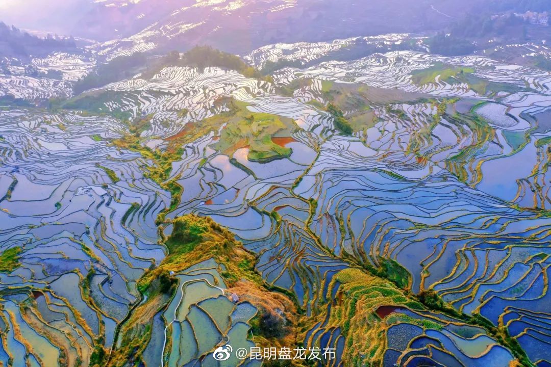 昆明盘龙发布