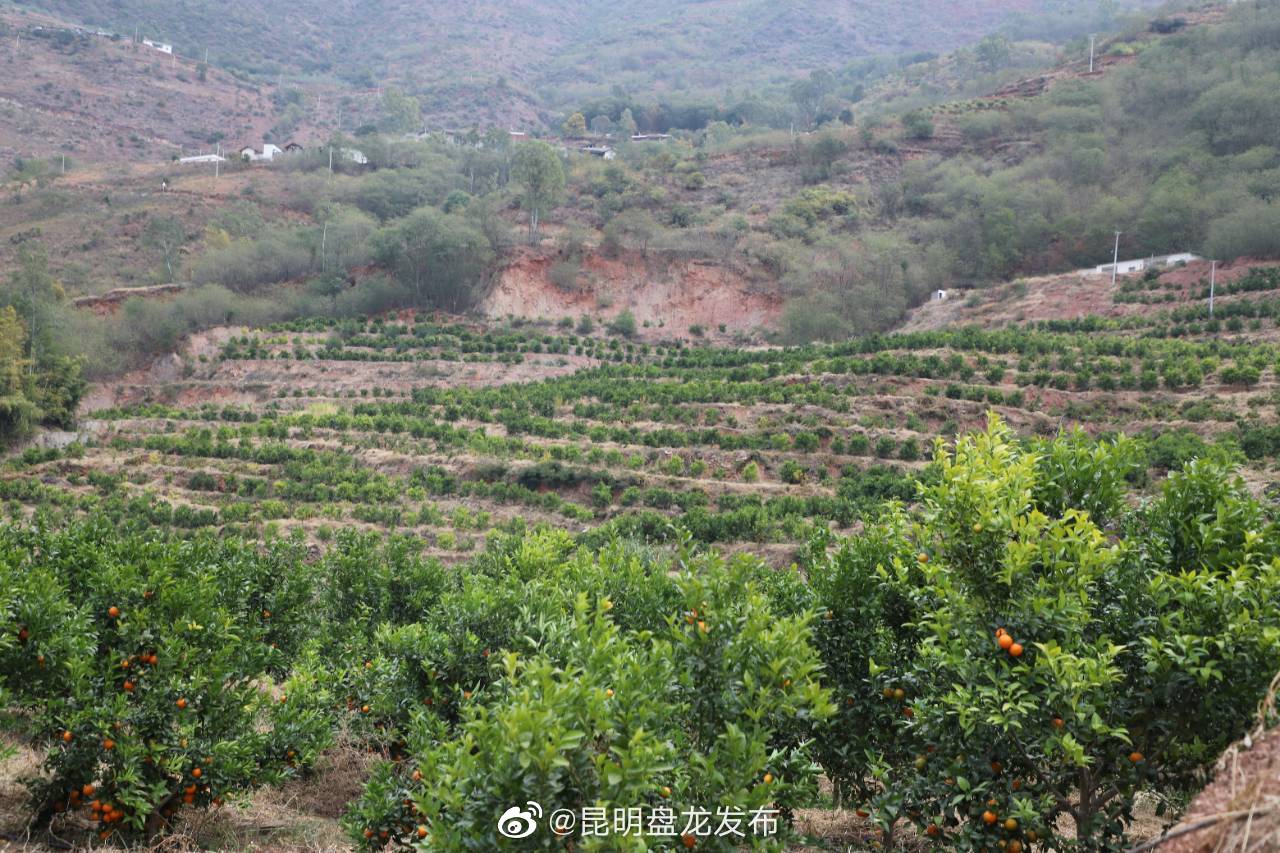 昆明盘龙发布