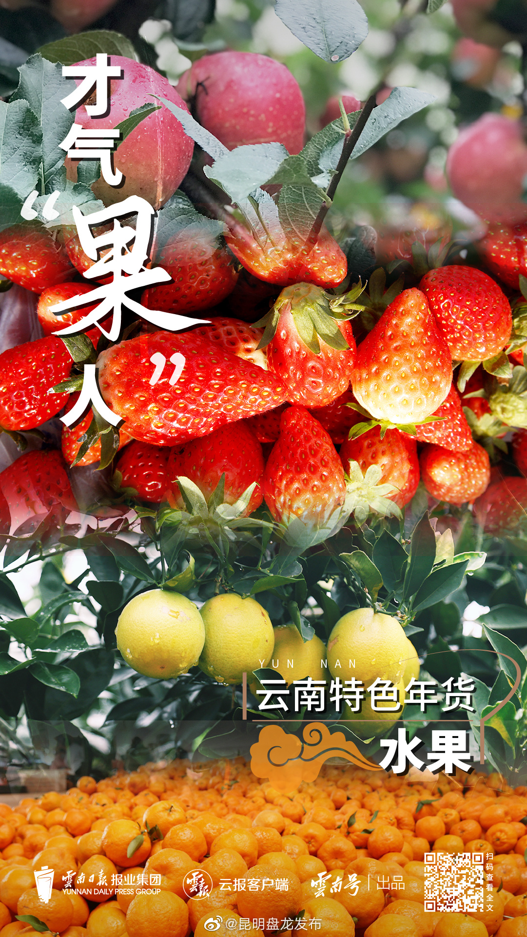 昆明盘龙发布