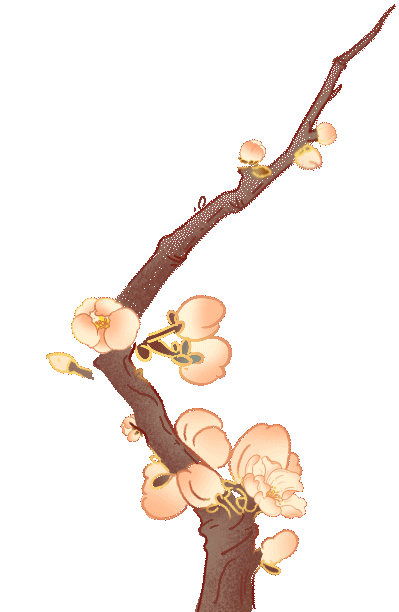 宜良之窗