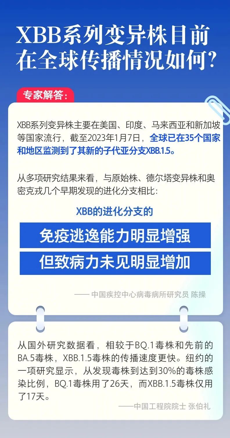 微观盘龙