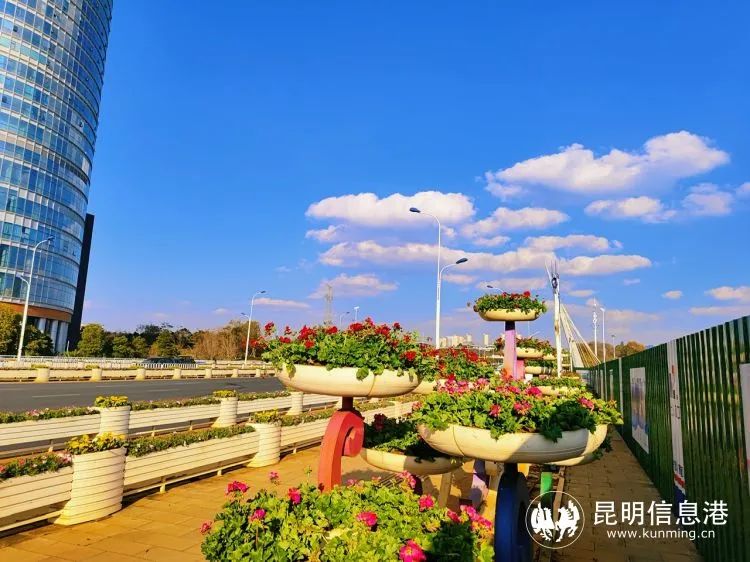 呈贡发布