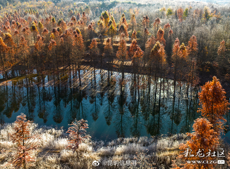 昆明信息港（微博）