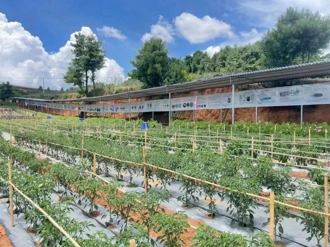 昆明阳宗海风景名胜区