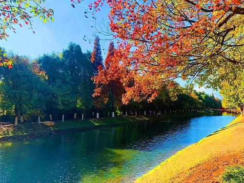 昆明市文化和旅游局