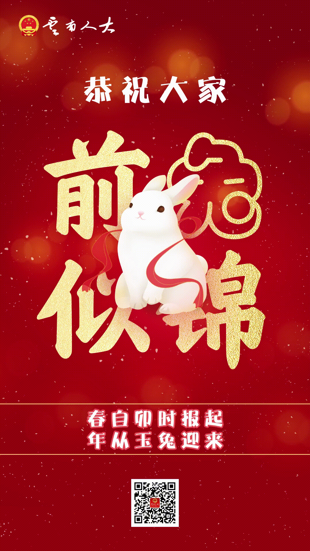 云南人大