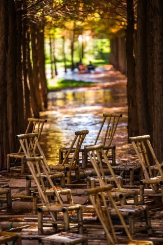 昆明市文化和旅游局