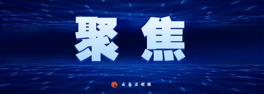 云南法制报