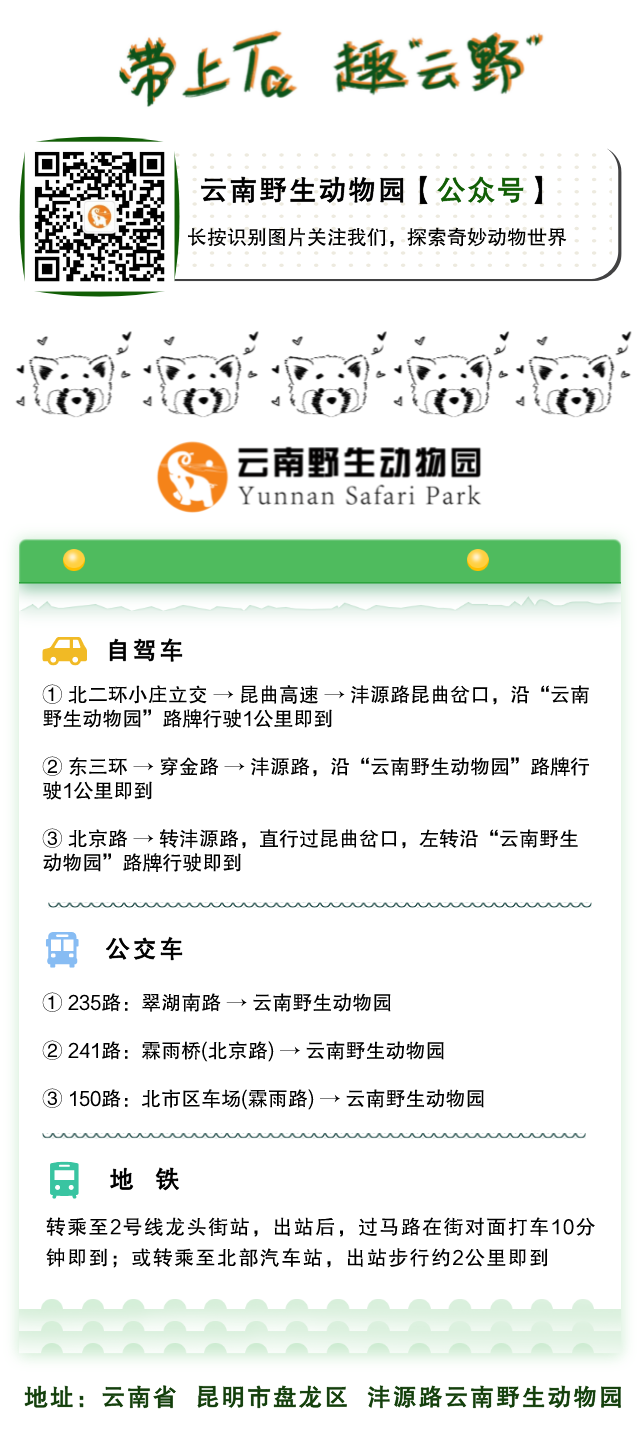 云南野生动物园