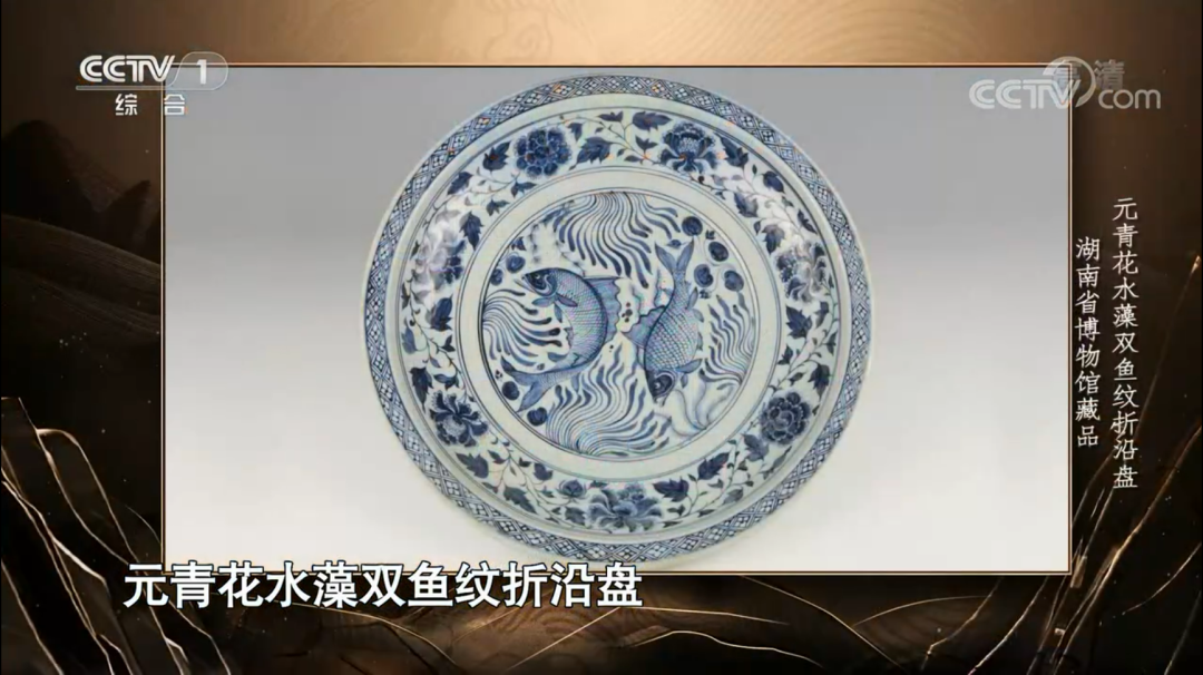 美丽云南微科普