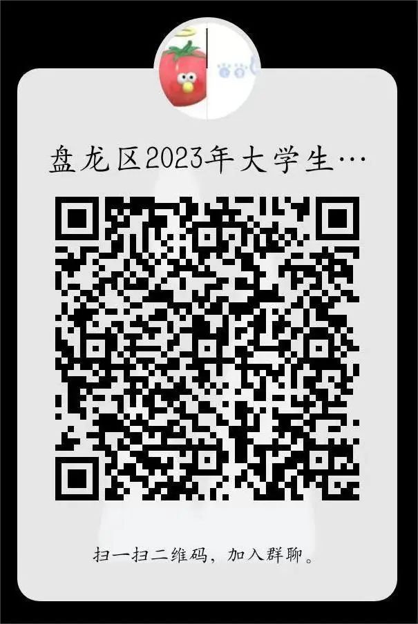 盘龙共青团