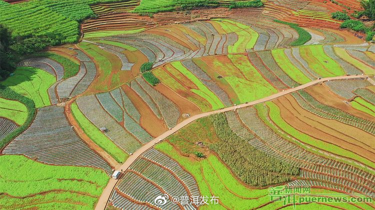 西盟县：治水安民兴水惠民