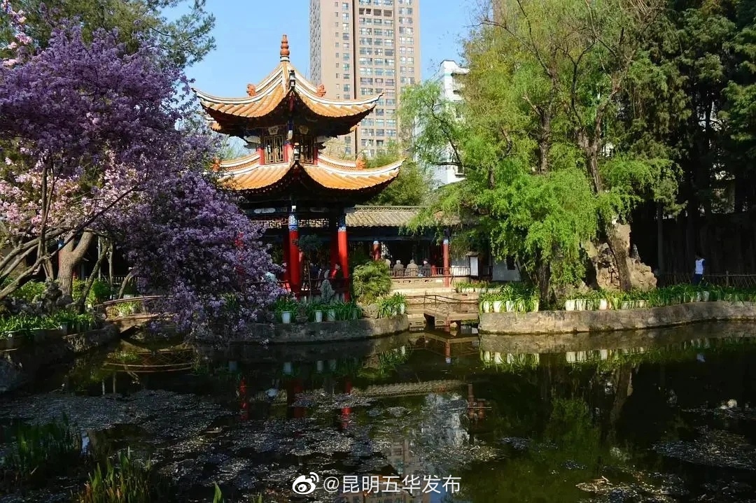 昆明五华发布