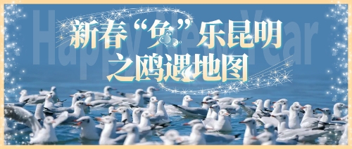 昆明市文化和旅游局