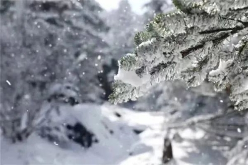 昆明市文化和旅游局