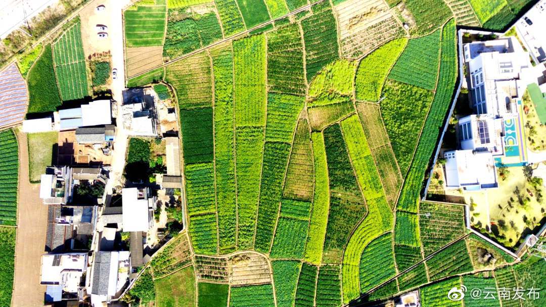 “云南发布”微博