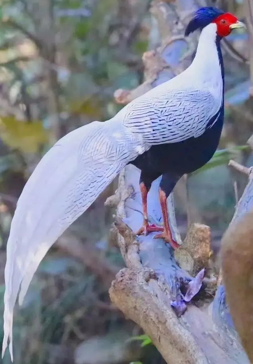 云南省人民检察院