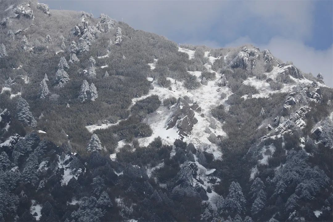 保山新闻网