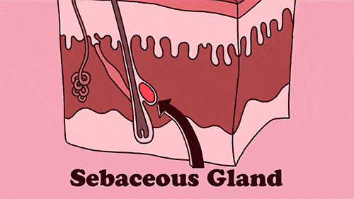 爱长痘最好戒掉4种食物