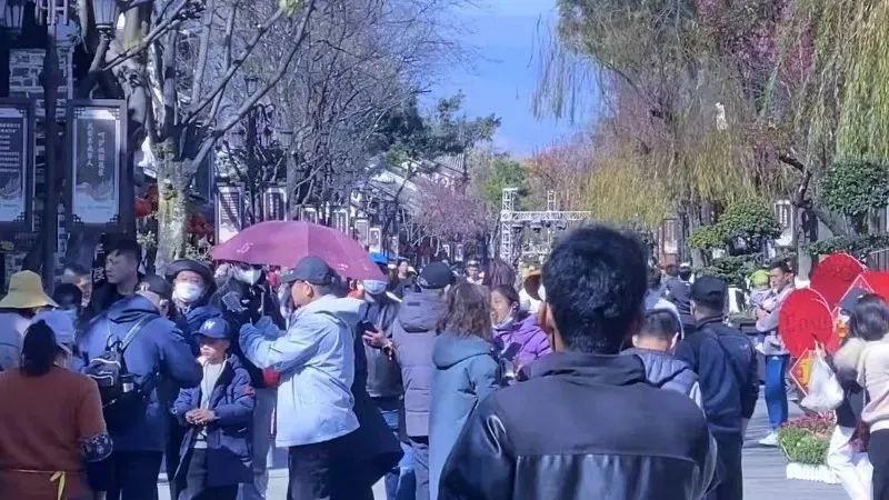 春城晚报