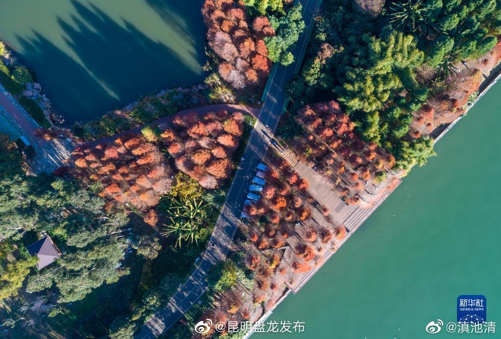 昆明盘龙发布